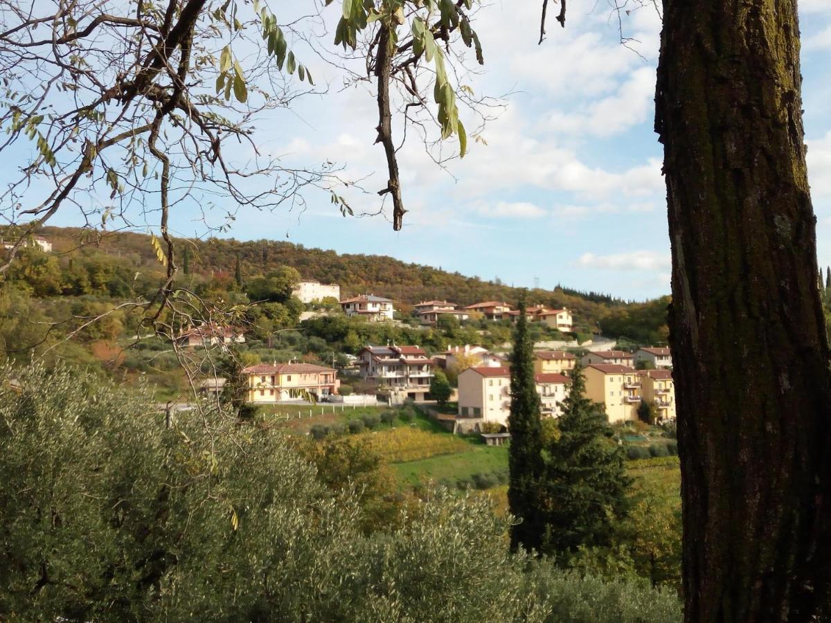 Panoramico10 With A View In Valpolicella